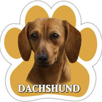 Dachshund Red