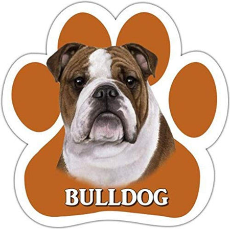 Bulldog Magnet