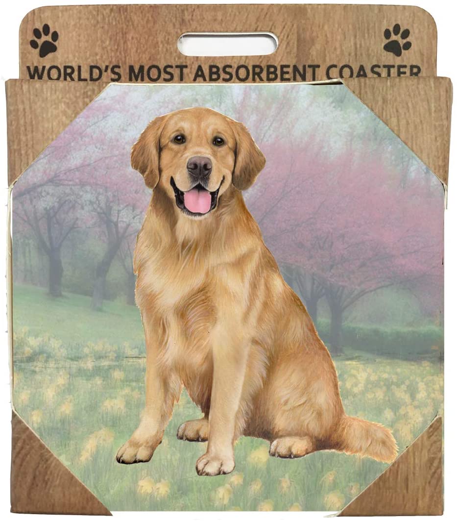 Golden Retriever Coaster Sq.