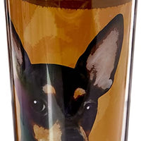 Chihuahua, Black Tmblr,