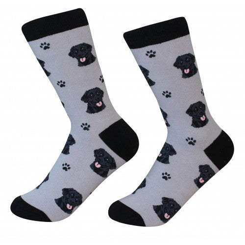 Labrador,Black Socks