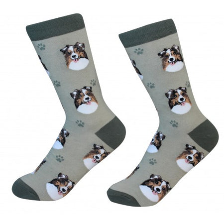 Australian Shepherd Socks