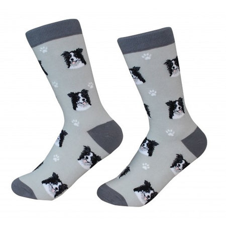 Border Collie Socks