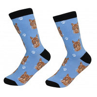 Orange Tabby Cat Socks