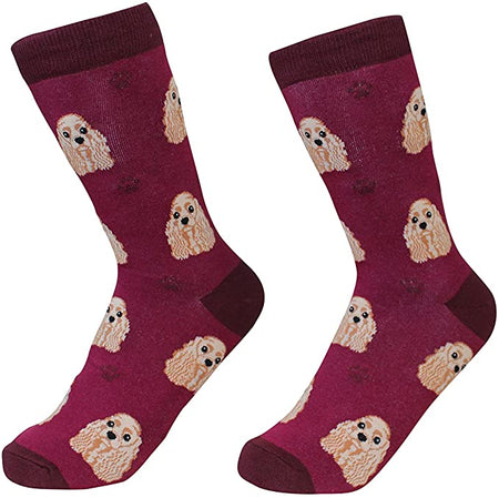 Cocker Spaniel Socks