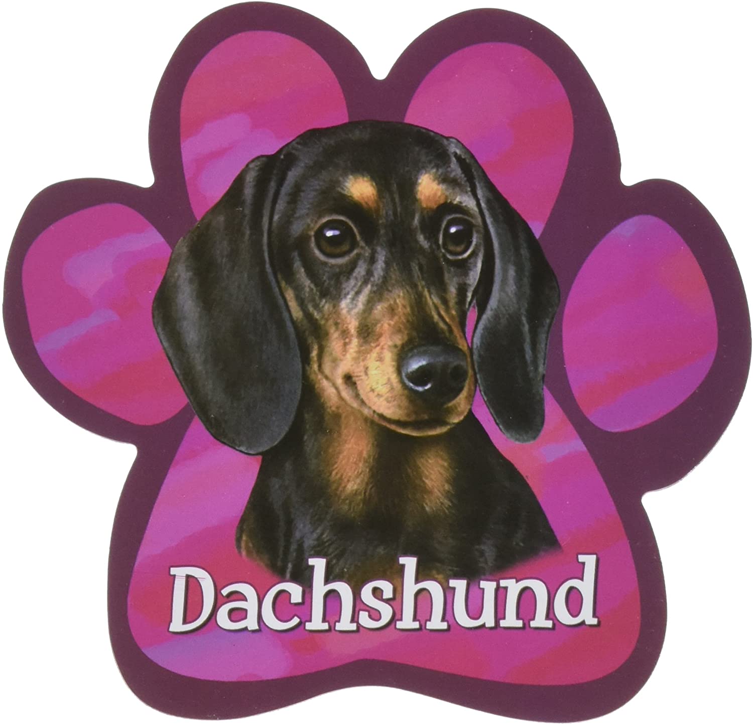 Dachshund Black