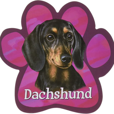 Dachshund Black