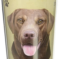 Chocolate Lab Tmblr, the