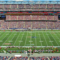 New England Patriots 1000pc Pu