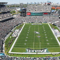 Phila Eagles 1000pc Pano Puzzl