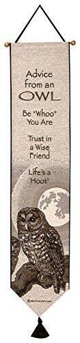 Advice from a Owl 9x41 Wall Hangar