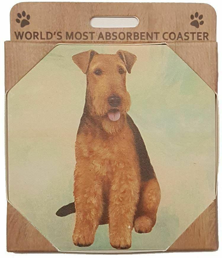 Airedale Coaster Sq.
