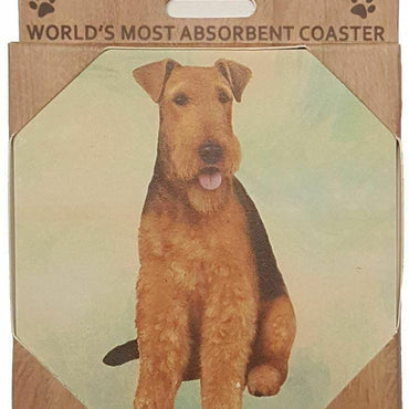 Airedale Coaster Sq.