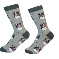 Australian Shepherd Socks