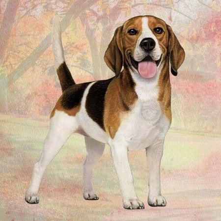 Beagle Coaster Sq.