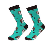 Beagle Socks