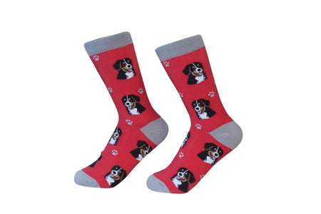 Bernese Mt. Dog Socks