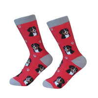 Bernese Mt. Dog Socks