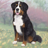 Bernese Mt. Dog Coaster Sq.