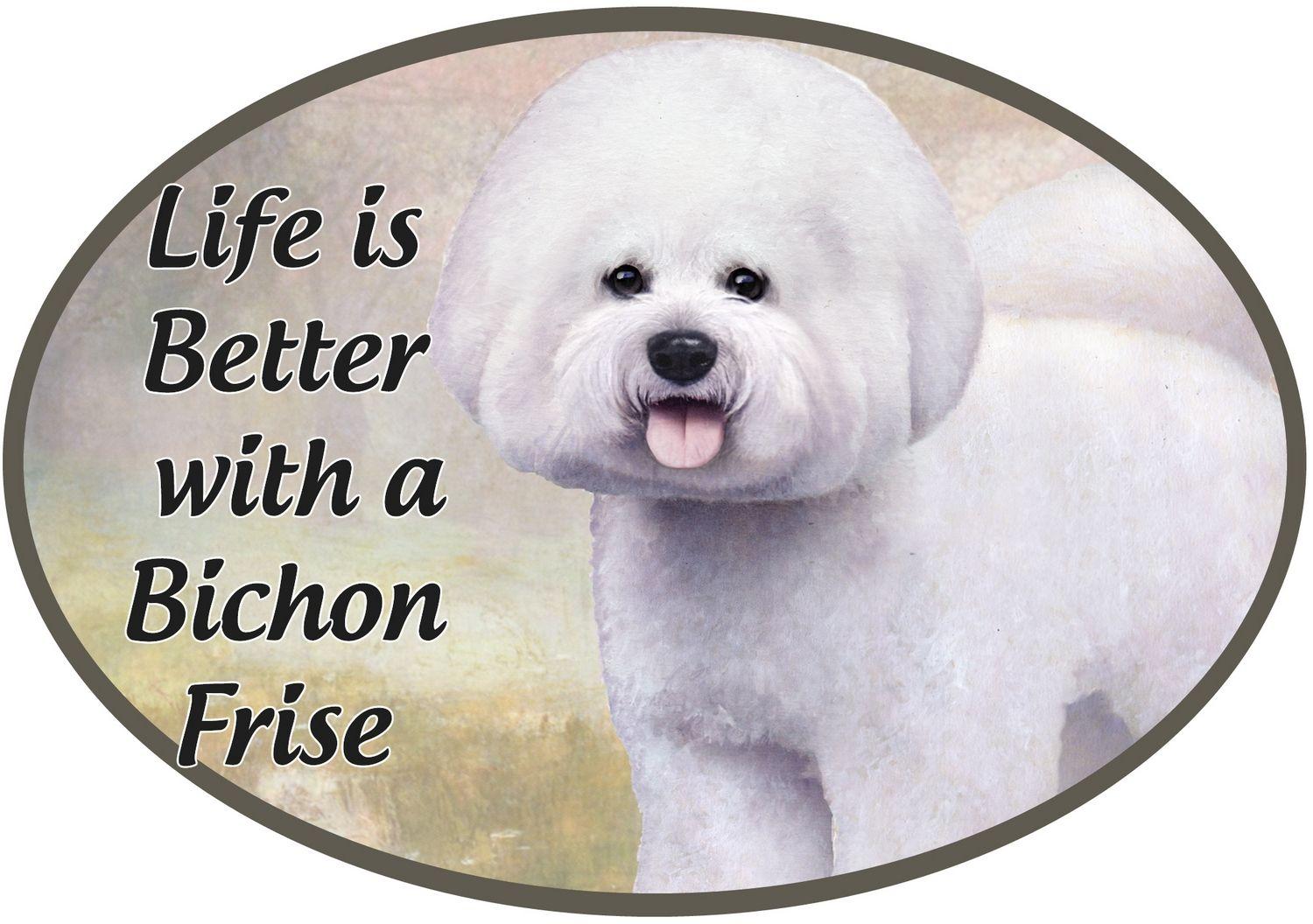 Bichon Frise Car Magnet