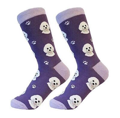 Bichon Frise Socks