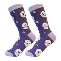 Bichon Frise Socks