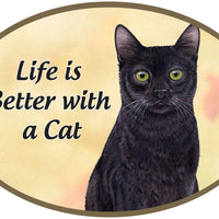 Black Cat Car Magnet