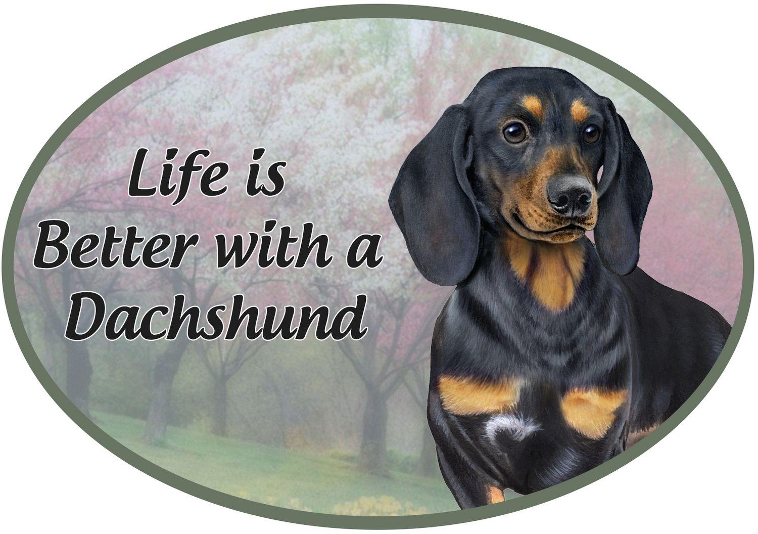 Black Dachshund Car Magnet