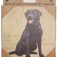 Black Lab Coaster Sq.