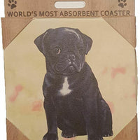 Black Pug Coaster Sq.