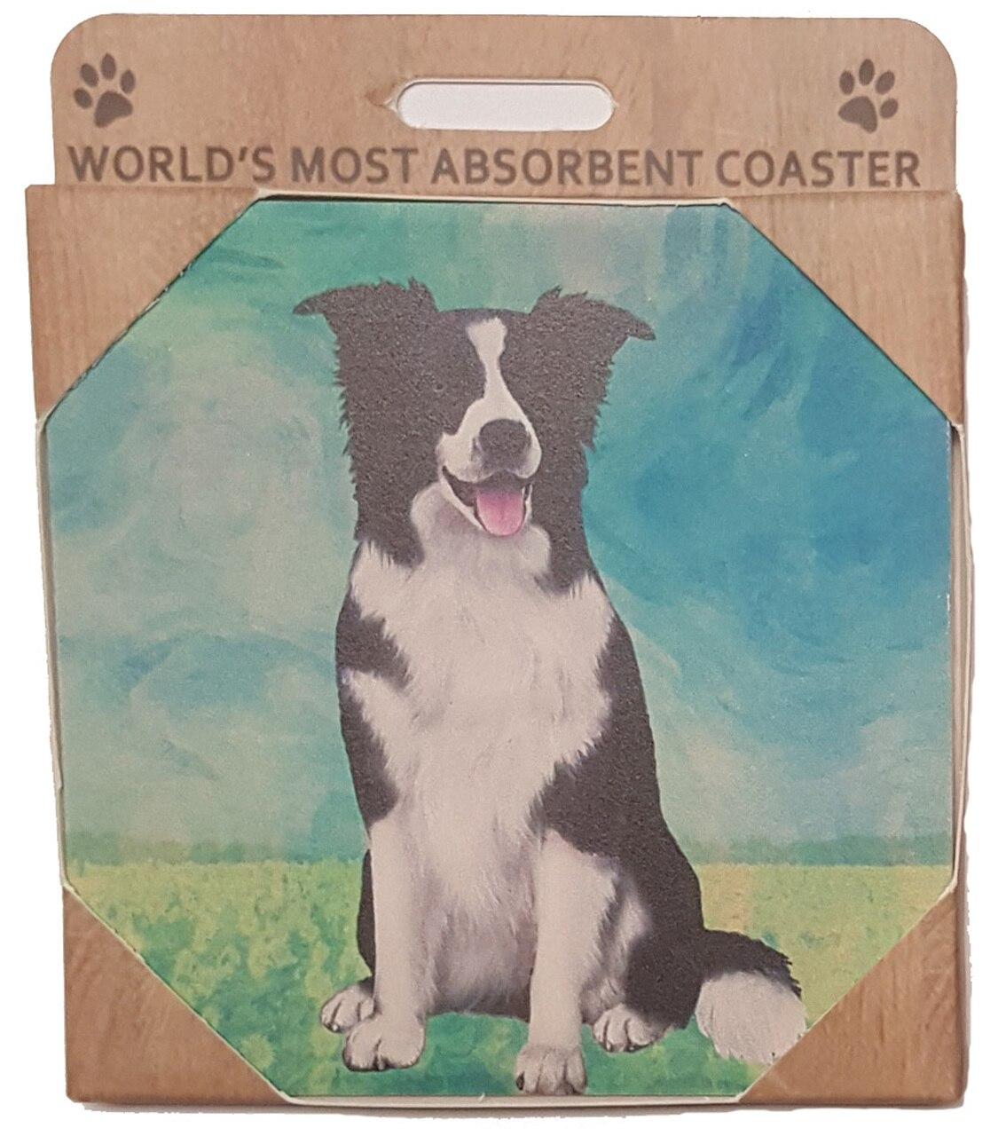 Border Collie Coaster Sq.