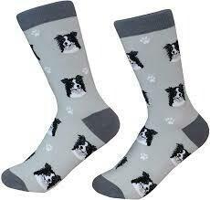 Border Collie Socks