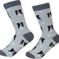 Border Collie Socks