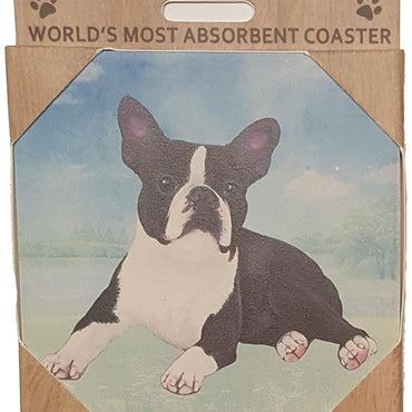 Boston Terrier Coaster Sq.