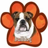 Bulldog Magnet