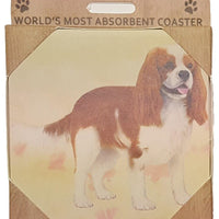 Cavalier Coaster Sq.