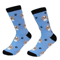 Cavalier King Charles Socks