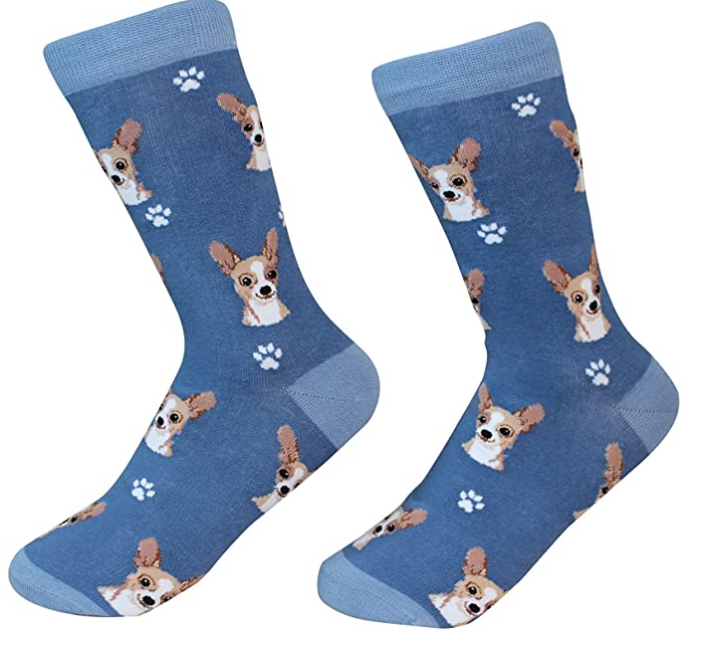 Chihuahua Fawn Sock