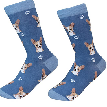 Chihuahua Fawn Sock