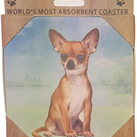 Chihuahua Tan Coaster Sq.