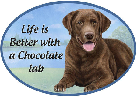 Chocolate Lab Car Magnet