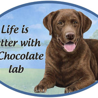 Chocolate Lab Car Magnet
