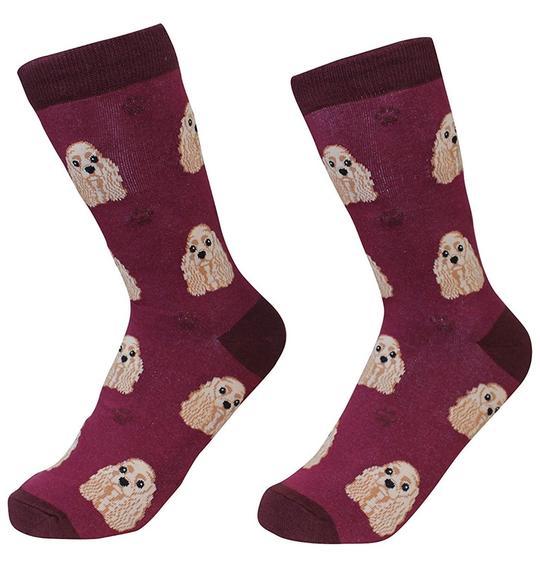 Cocker Spaniel Socks