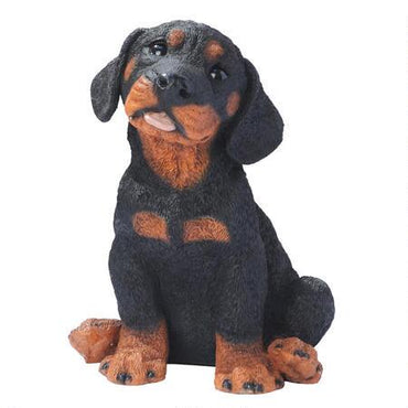 Rottweiler Puppy Statue