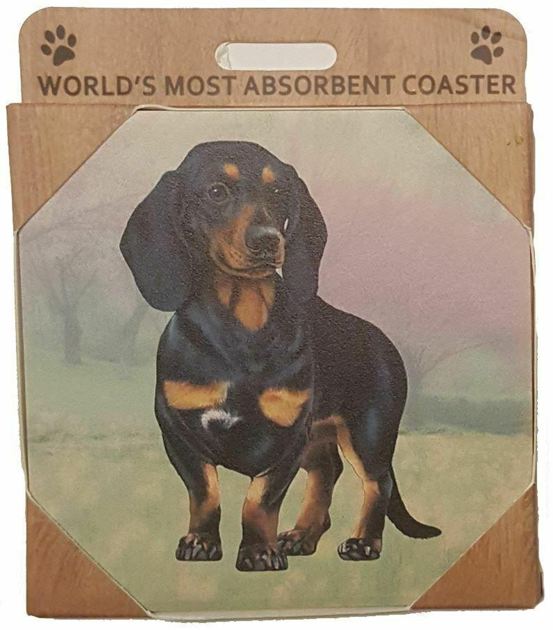Dachshund Black Coaster Sq.