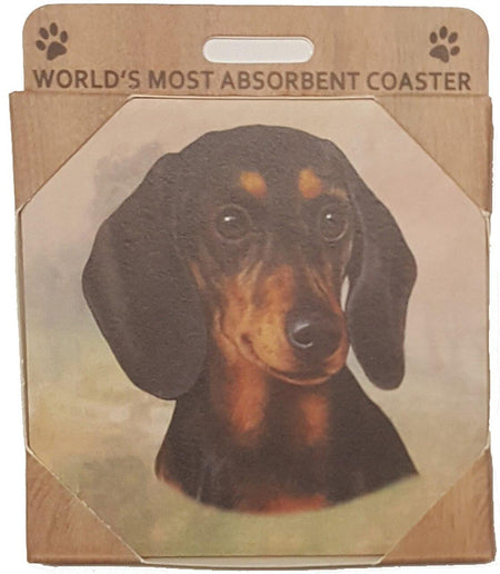 Dachshund Coaster Sq.