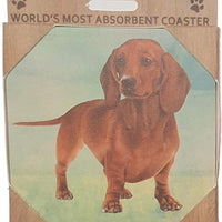 Dachshund Red Coaster Sq.