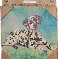 Dalmatian Coaster Sq.