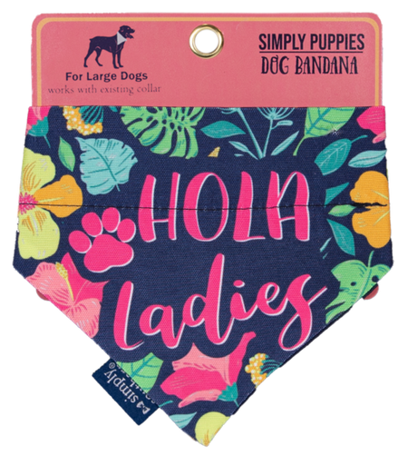 Dog Bandana Hola- Large