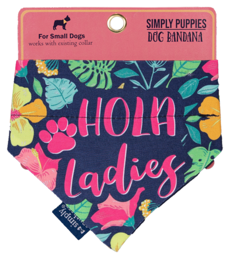 Dog Bandana Hola- Small